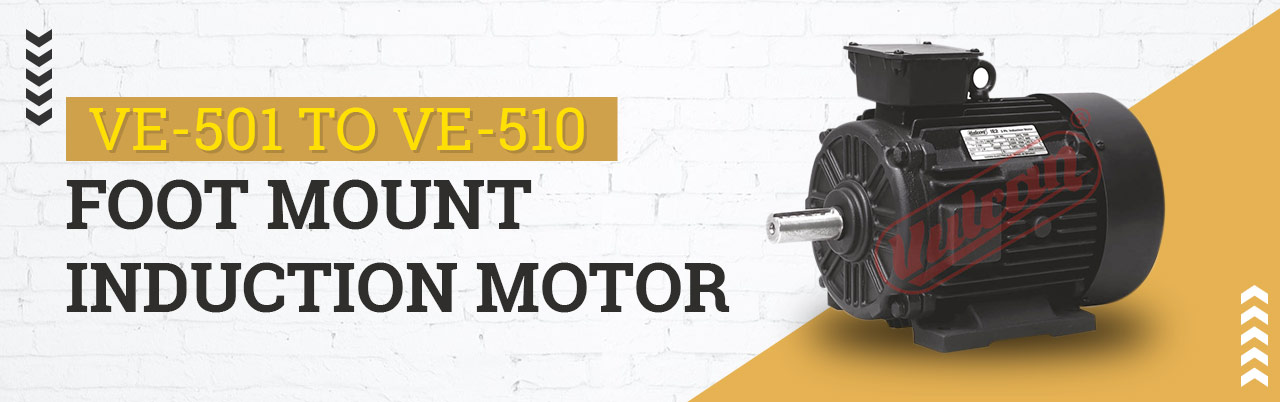 B14 Compact Face Mount Induction Motor