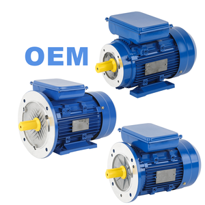 ML Series Single Phase Induction Electric Motor