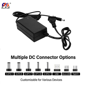 12V 2A 24W Dual Cable Desktop Power Adapter