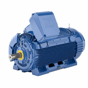 WEG 51 Series Compact High Power Three Phase Motor