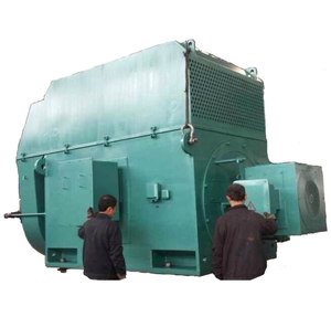 10kV 5000kW High Voltage Heavy Duty AC Motor